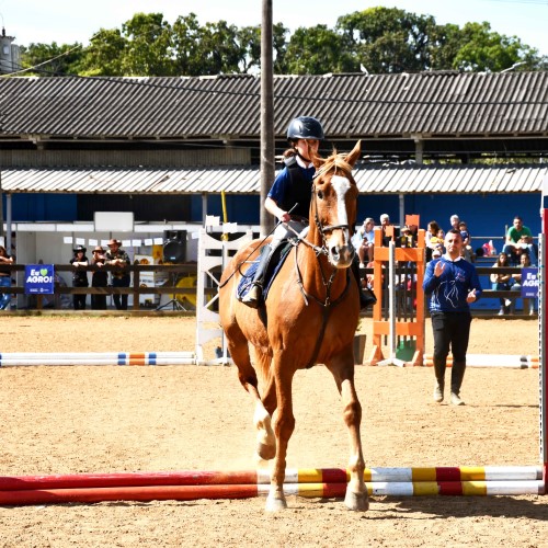 57ª Exapicor movimenta parque de exposições com esporte, agro e programação pet